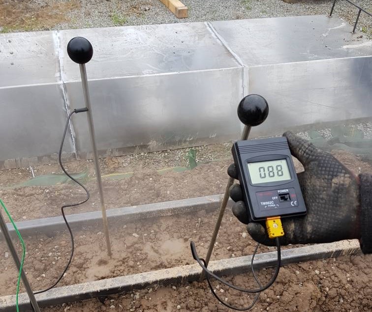 Messung der Temperaturverteilung beim Dämpfen von Erdbeerdämmen mit einem Dämpfstachelraster von 30cm