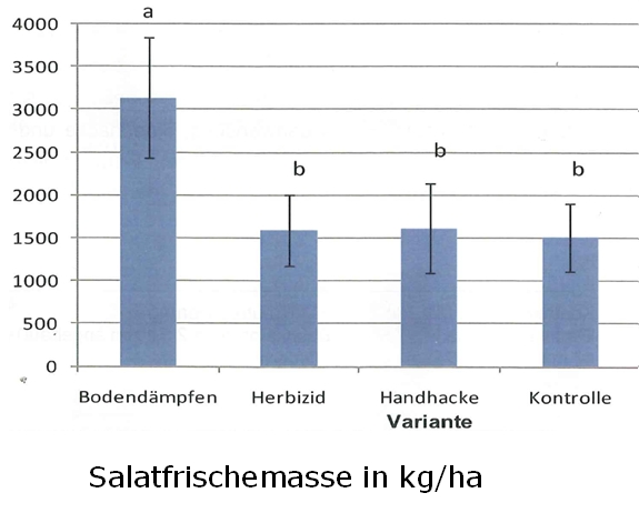 Salatfrischemasse im Vergleich bei mehreren Unkrautbekämpfungsmaßnahmen